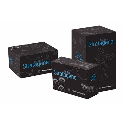 ДНК-полимеразы Agilent